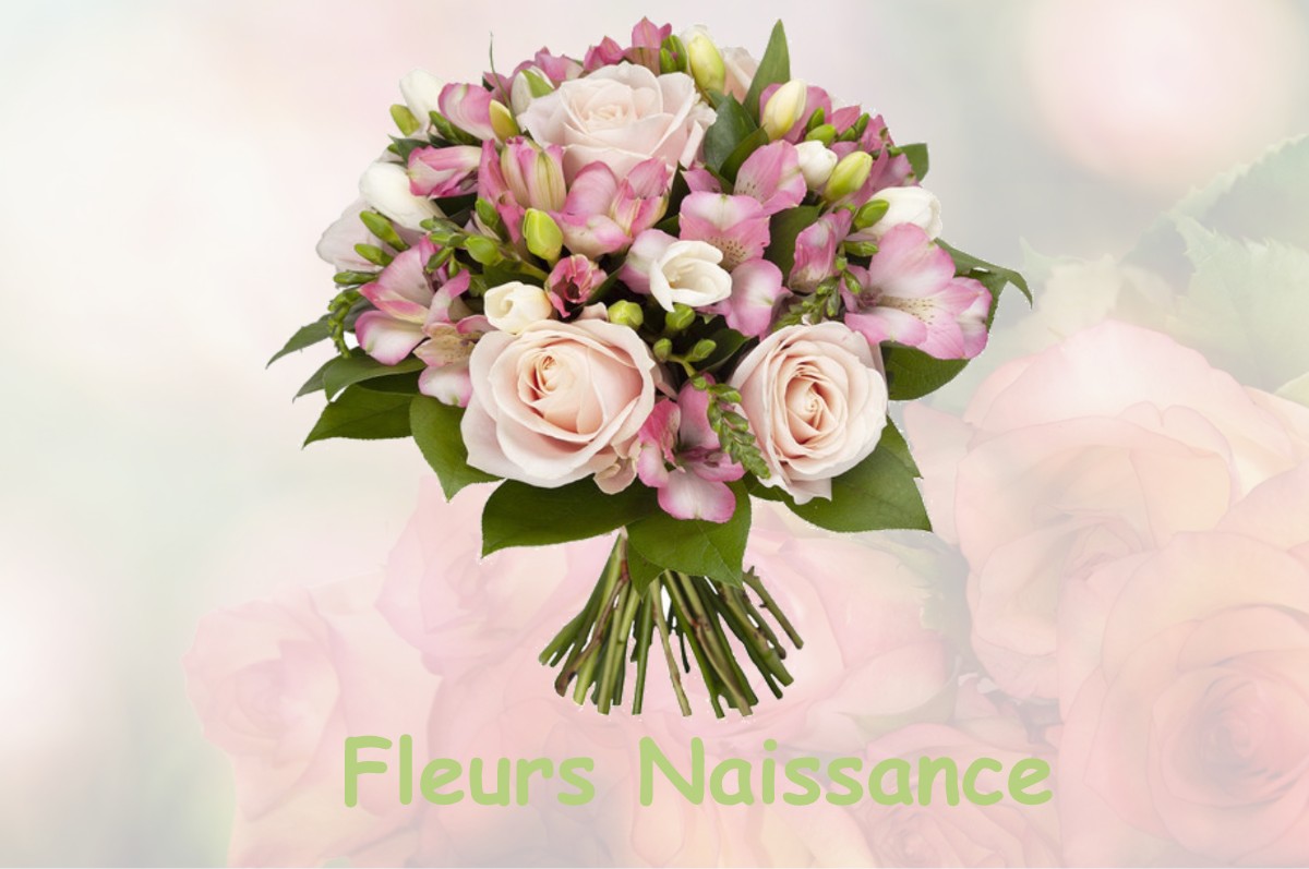 fleurs naissance VILLERS-ROBERT