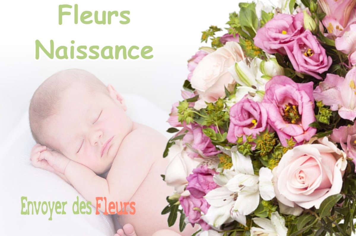 lIVRAISON FLEURS NAISSANCE à VILLERS-ROBERT